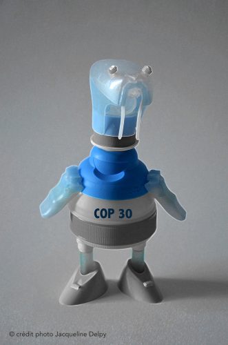 COP 30 copie