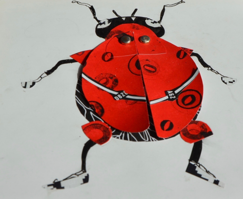 Coccinelle toulousaine-Techniques mixtes