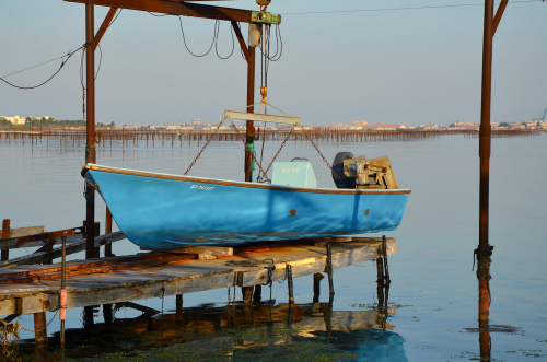 ETANG DE THAU BOUZIGUES