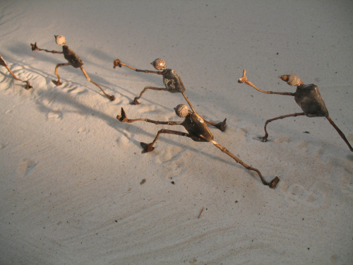 GRAINES-CIRE- MIGRATIONS