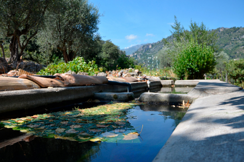 Land-Art-la-robe-tilleuil-3