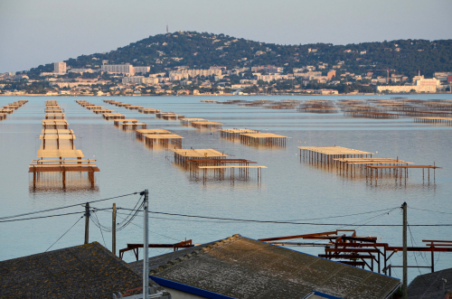 MAS-TABLES--ETANG-DE-THAU-arts-plastiques