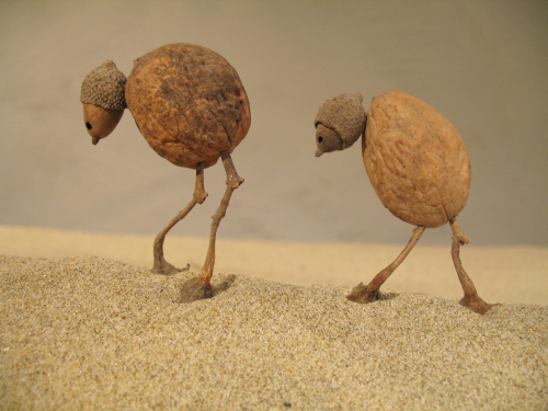 VEGETAUX-DELPY-GRAINES