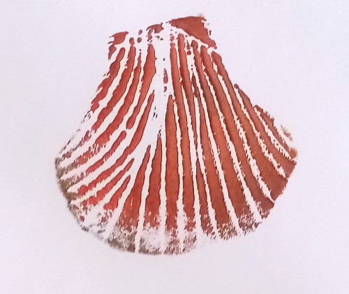 abbaye-Flaran-coquille-WS