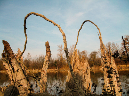 arche-bords-de-garonne-land-art