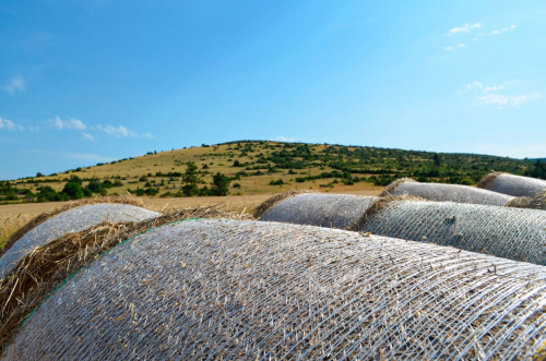 ballot-lauragais-delpy-