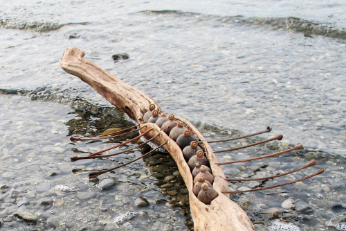 barque-migrations-delpy