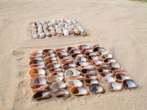 bretagne-coquillage-land-art