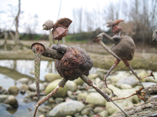 chevauché-graines-séchées-art