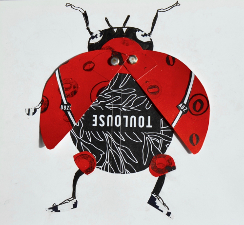 Coccinelle toulousaine