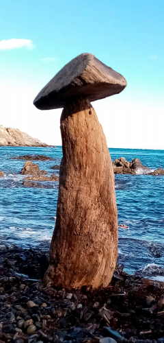 delpy-land-art-champignon