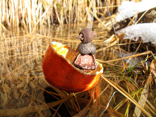 ecorce-nature-art-des-graines