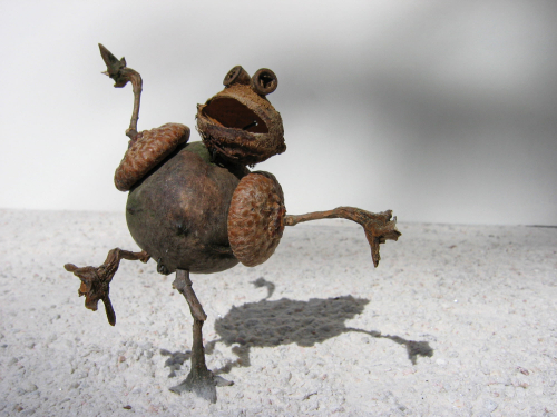 graines-art-galles-delpy