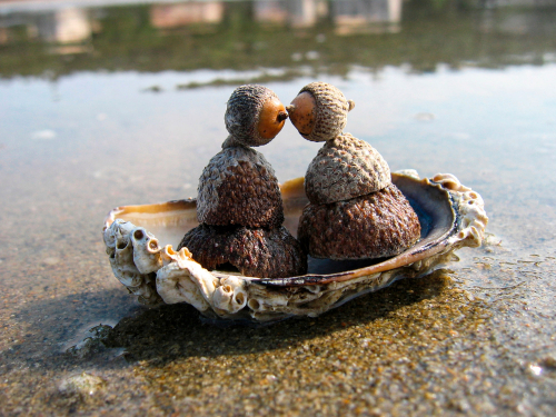 graines-delpy-illustartion