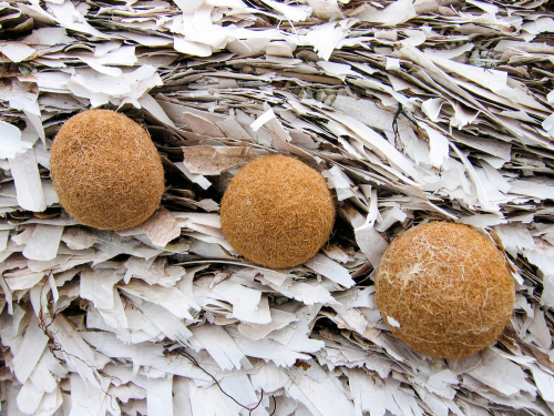 herbes-de-posidonie-delpy-corse