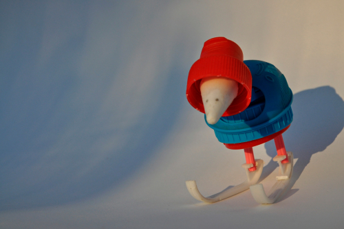 illustration-skieur-delpy