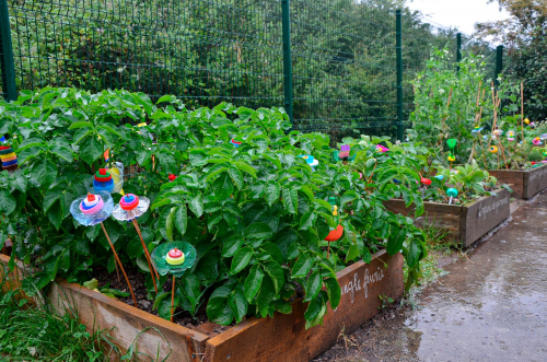 installation-ecole-projet-culturel