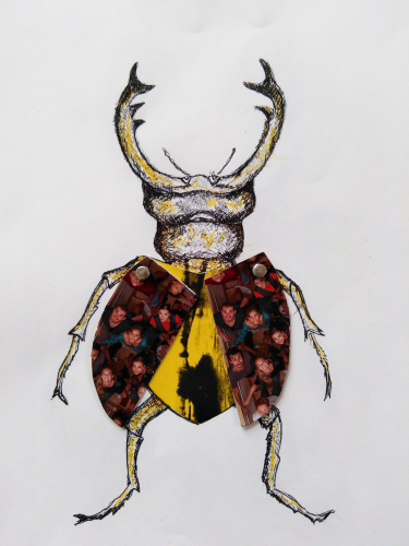 lucane / Techniques mixtes