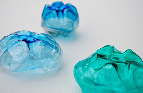 meduse-bouteille-delpy