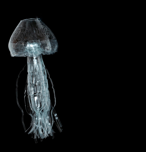 meduse-delpy-art-plastique-