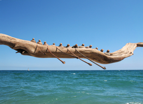 migrations-delpy-bois-flotté