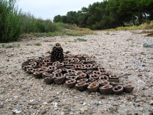 noix-d'amerique-art-land-art