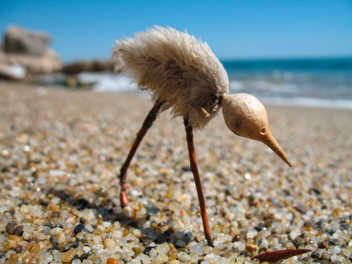 oiseaux-art-végétaux