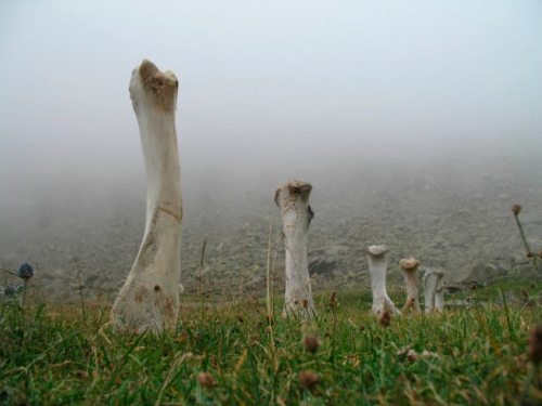 os-pyrenées-land-art
