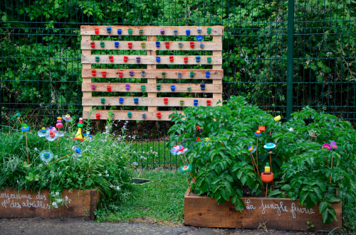 palette-germination-recyclage