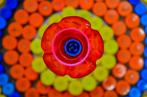 parterre-bouchon-classe-primaire