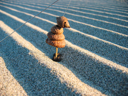 plage-corse-graines-art