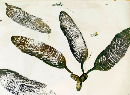 plume-impression-la-grande-roue-fenouillet