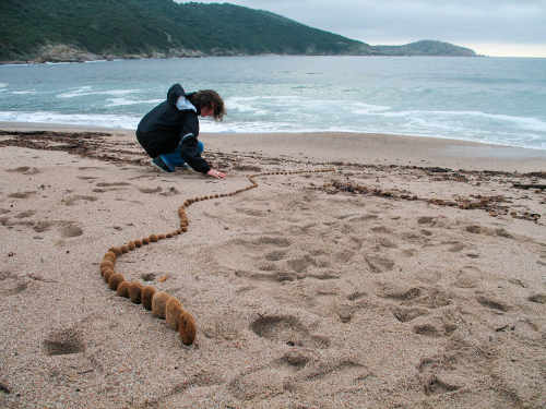 posidonie-boules-land-art